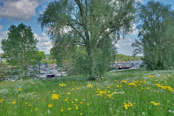 Medium property photo - Hoefjes 15, 6987 ES Giesbeek